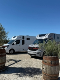 Acheter un camion VL chevaux dans l'Ain (01)
